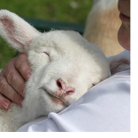 Bos adalah gembala bagi karyawannya