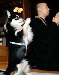 Doa berarti berbicara dengan tuhan