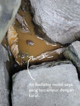 Pilih air biasa atau collant untuk radiator mobil