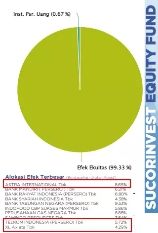 Penyebab reksadana rugi di Bibit