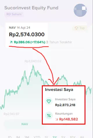 Realita Investasi di Reksa Dana, bisa rugi. Gak selalu untung