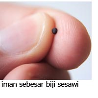 Iman sebesar biji sesawi bisa memindahkan gunung