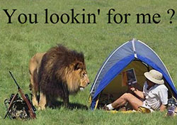 Olahraga berburu meningkatkan produksi sitokin terbesar karena adanya adrenalin