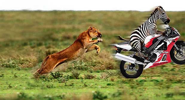 Olahraga dengan adrenalin akan memberikan manfaat terbesar