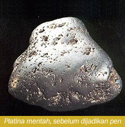 Platina sebelum dibentuk menjadi pen tulang