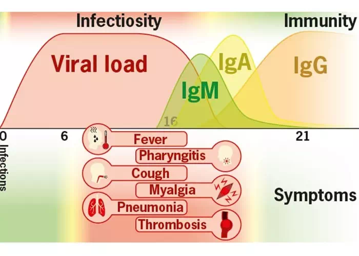 Urutan waktu sakit corona dari awal sampai sembuh
