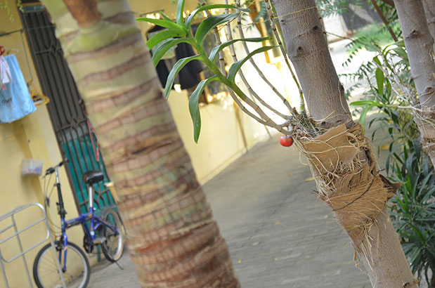 Hasil foto nikon d5100