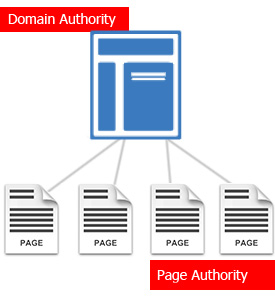 Page authority adalah elemen dasar dari domain authority