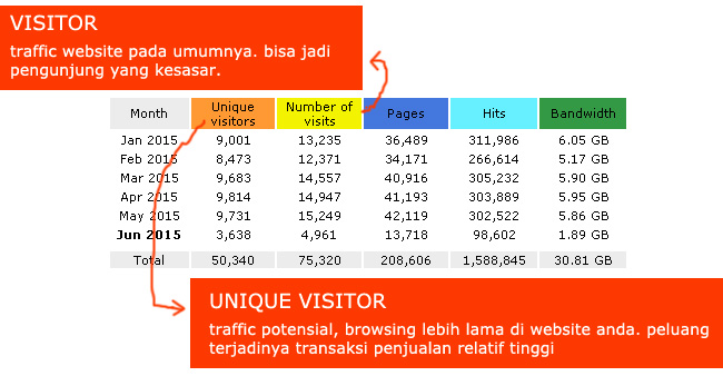 Perbedaan antara pengunjung dan pembeli. Visitor dan unique visitor