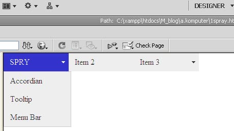 Spry Widget