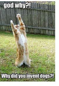 Tuhan turut bekerja dalam segala aspek hidup manusia